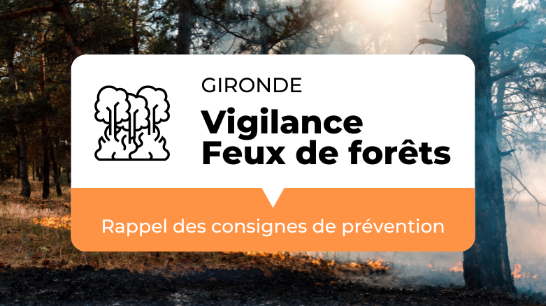 Incendies en Gironde et dans les Landes : rappel des consignes de prévention